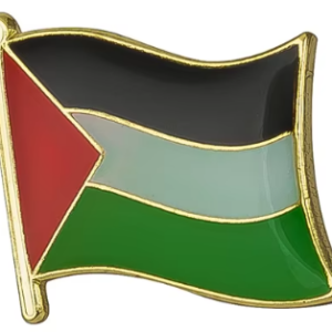 Lot de 10 Badge/Pins "Drapeau de la Palestine"